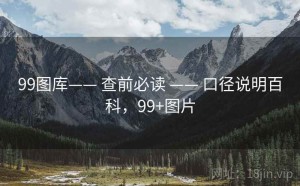 99图库—— 查前必读 —— 口径说明百科，99+图片