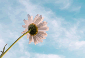 澳彩800图库：信息核验：中心：持续更新，下载澳彩图库00853tk